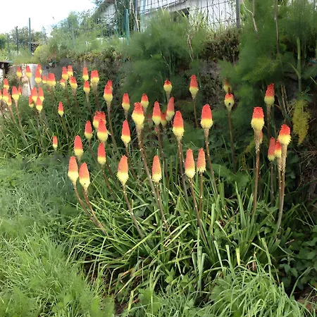 Bourdeverre D'hôtes 3* Sanxay