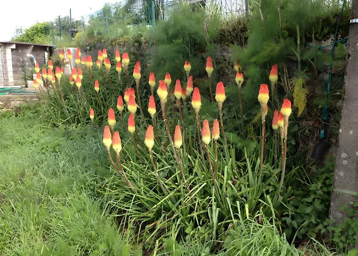 Bed and breakfast Bourdeverre D'hotes