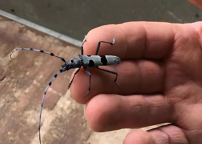 Couette-café Bourdeverre D'hôtes