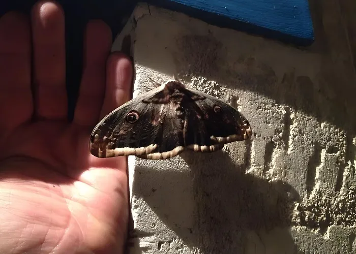 Bourdeverre D'hotes Bed and breakfast