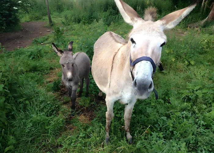 Bourdeverre D'hotes 3*